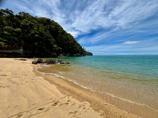 Image of golden sandy beach and native bush in Abel Tasman, New Zealand. Photo by Richard Lumborg - Unsplash.