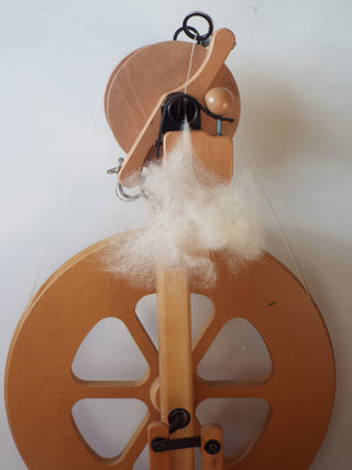 A spinning wheel for processing sheep wool.