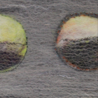 Close-up of Re-Cycle - felted artwork by local Nelson/Tasman artist Colleen Plank.